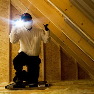 TAP Insulation