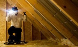 Media: TAP® Pest Control Insulation