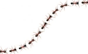 PHOTO: iStock.com/DieterMeyrl
