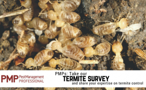 2018 termite survey