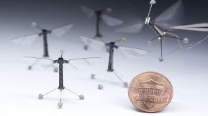 Photo courtesy of Harvard Microrobotics Lab