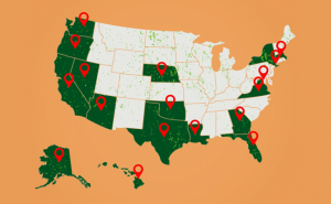 pest states