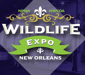 2018 Wildlife Expo