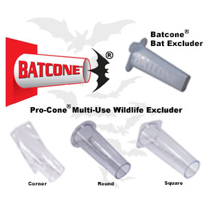 Batcone