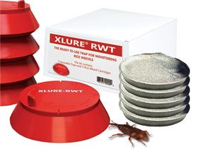 Rice Weevil Kit