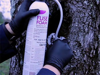 Fuse Foam. Photo by Control Solutions Inc.