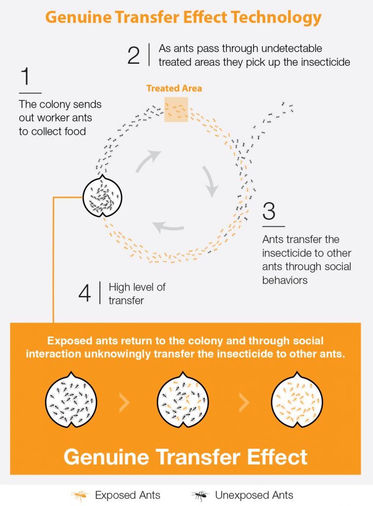 Pest Management Professional