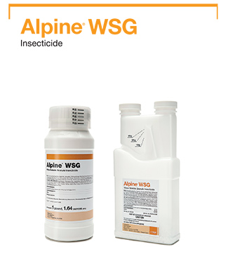 Alpine WSG