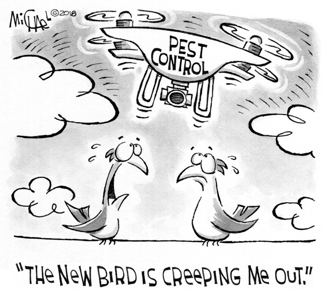 Bird/Drone cartoon/illustration