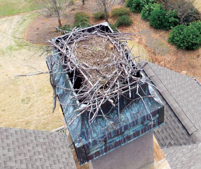 Rooftop drone view