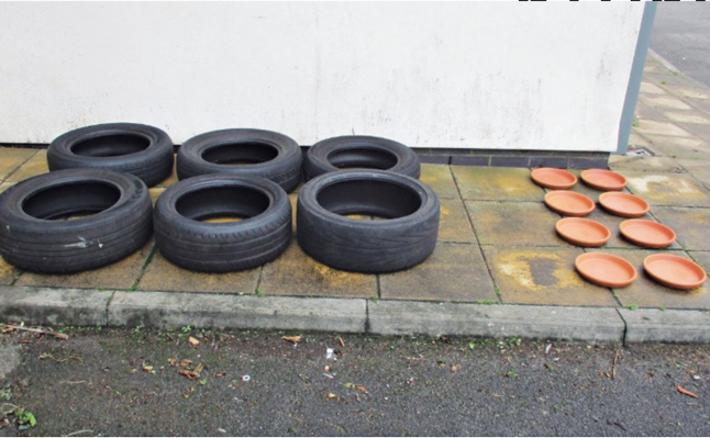 MGK study tires and flowerpots