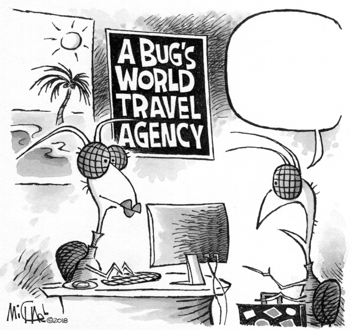 A bug's world travel agency