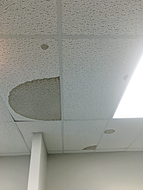 Ceiling leaks