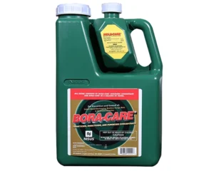 Jug of Bora-Care with Mold-Care