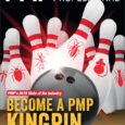 PMP 2019 State of the Industry (SOI)