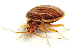 PHOTO: ISTOCK.COM/ANIMATEDFUNK