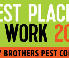 PHOTO: BRODY BROTHERS PEST CONTROL