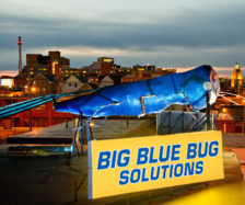 Photo: Big Blue Bug Solutions