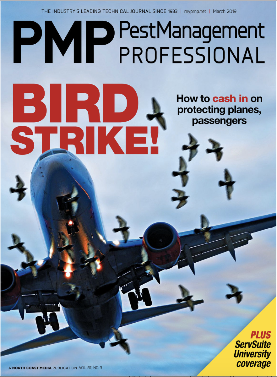 PMP MAR. 2019 COVER, PHOTO: ISTOCK.COM/OLASER