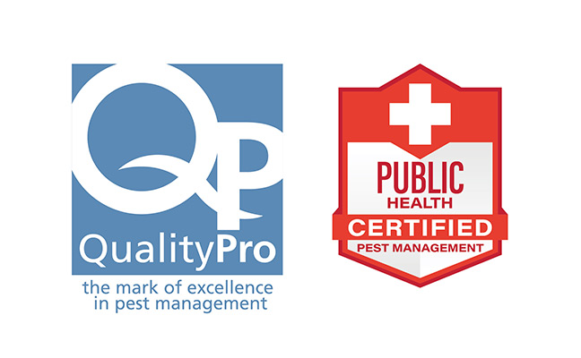 LOGO: QUALITYPRO PUBLIC HEALTH