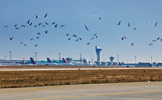 PHOTO: ISTOCK.COM/UGURHAN