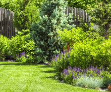A flower garden in the backyard. iStock.com/SVproduction