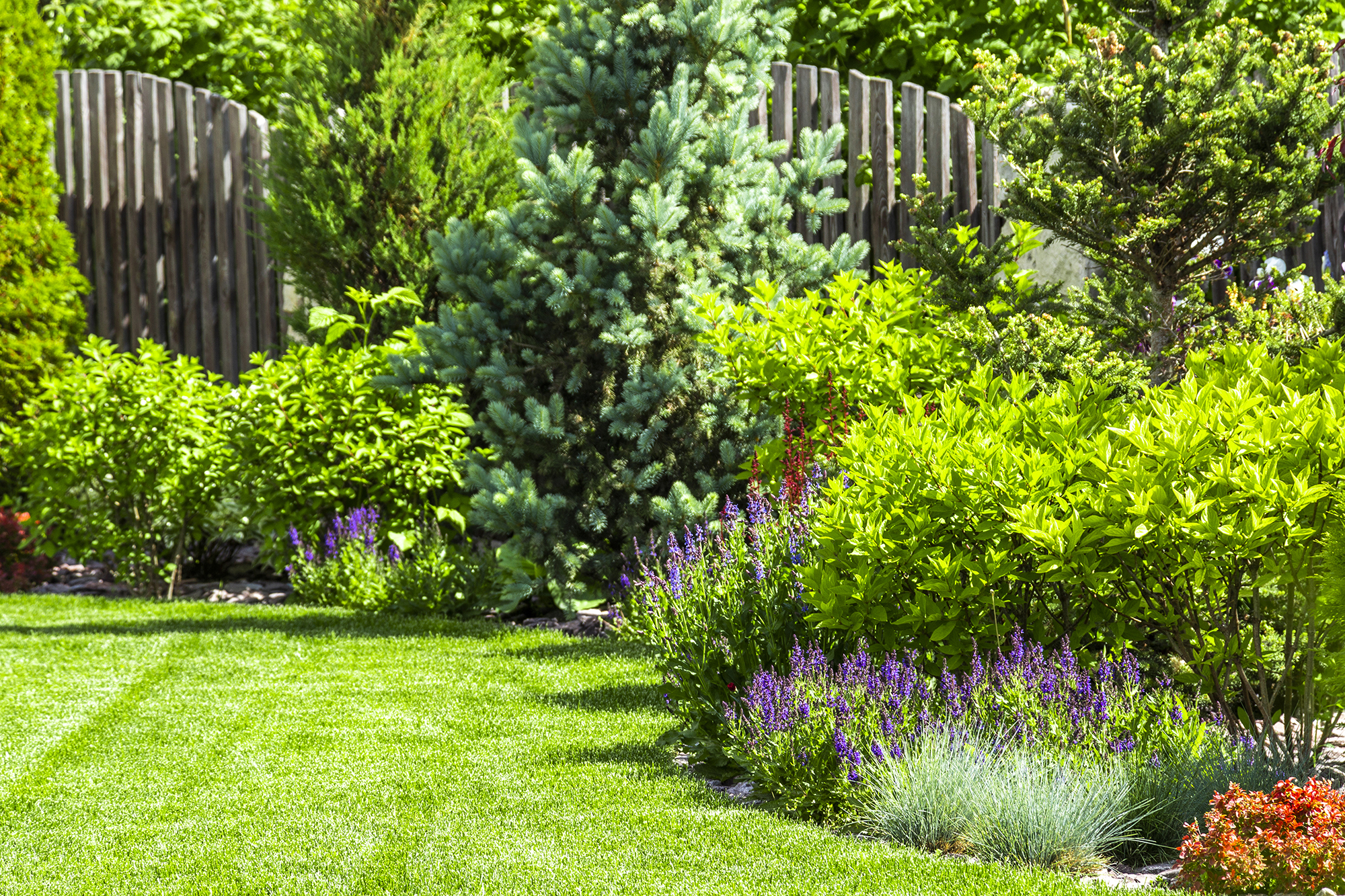 A flower garden in the backyard. iStock.com/SVproduction
