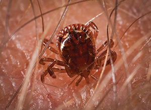 PHOTO: Professional Pest Management Alliance