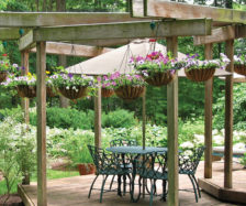 Photo provided by Zoëcon Professional Products/iStock.com/tinabelle