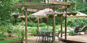 Photo provided by Zoëcon Professional Products/iStock.com/tinabelle