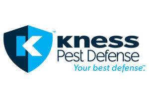 Logo: Kness