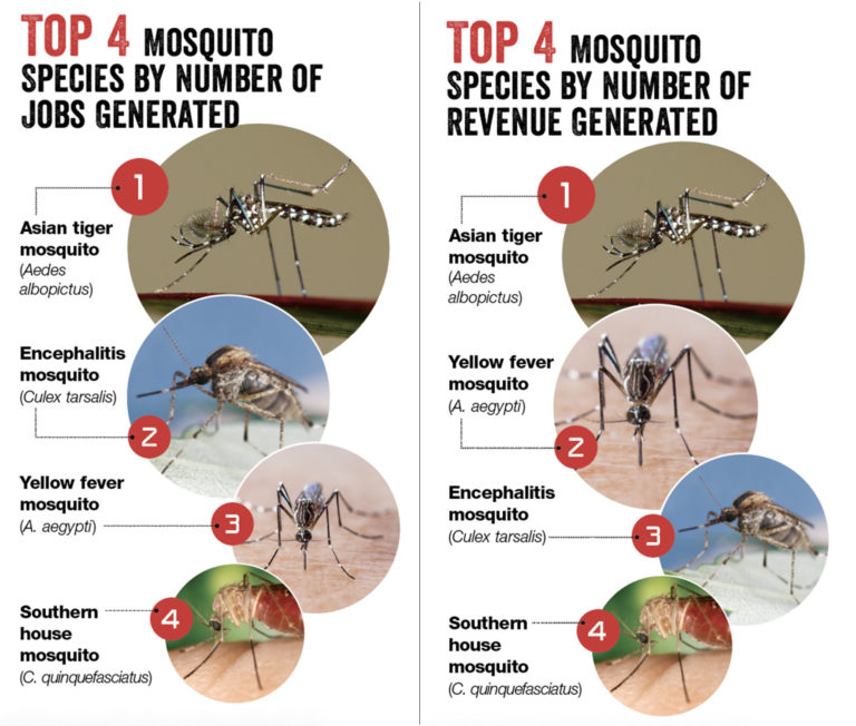 Mosquito control Protecting health, adding revenue Pest Management