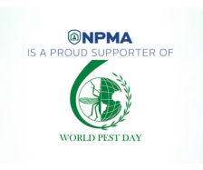 Logo: World Pest Day