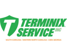 LOGO: TSI