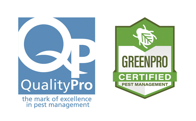 Logo: QualityPro