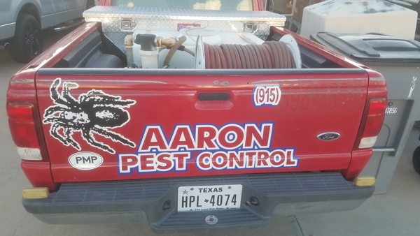 PHOTO: AARON PEST CONTROL, EL PASO, TX