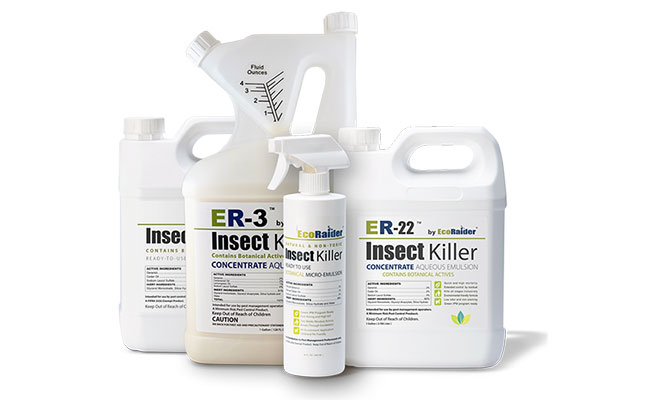 IMAGE: ECORAIDER