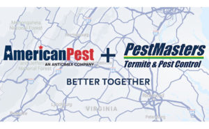 IMAGE: AMERICAN PEST