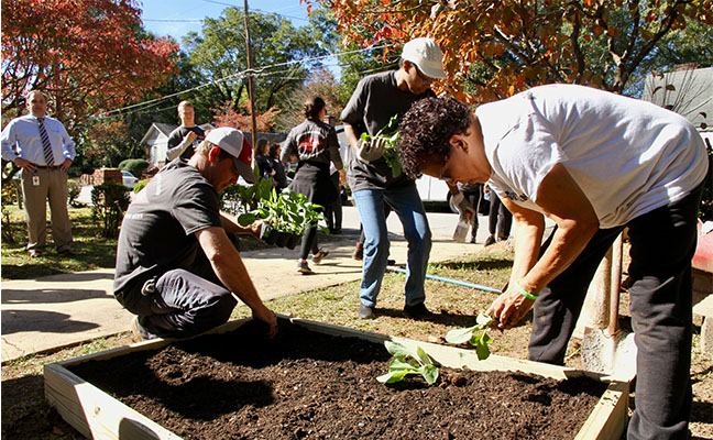 Rollins volunteers hard at work on community garden boxes. PHOTO: ROLLINS INC.