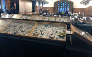 Dave Capps' personal insect collection at the Purdue Pest Management Conference. PHOTO: HEATHER GOOCH