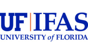 LOGO: UNIVERSITY OF FLORIDA