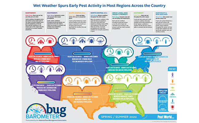 IMAGE: NATIONAL PEST MANAGEMENT ASSOCIATION