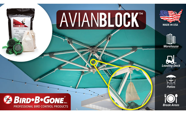 IMAGE: BIRD-B-GONE