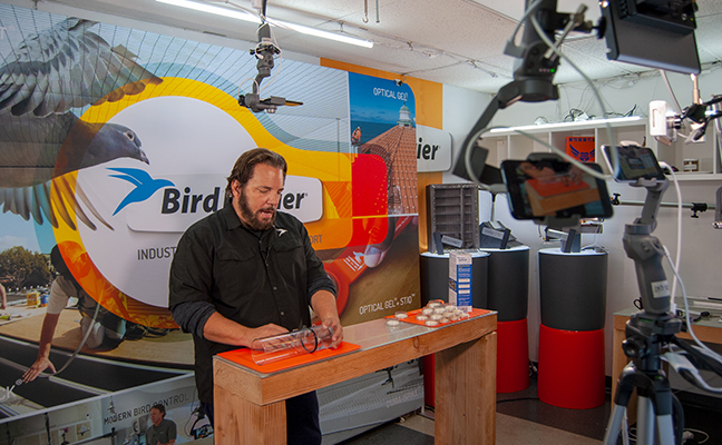 IMAGE: BIRD BARRIER