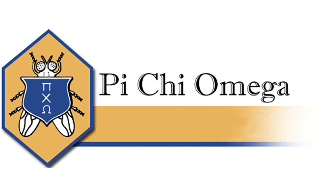 LOGO: PI CHI OMEGA