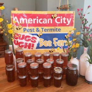 IMAGE: AMERICAN CITY PEST & TERMITE