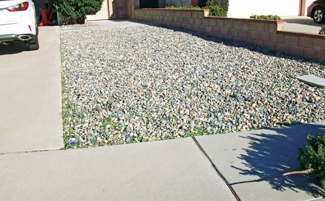 1. A rock landscape requires no irrigation. PHOTO: DR. HANIF GULMAHAMAD