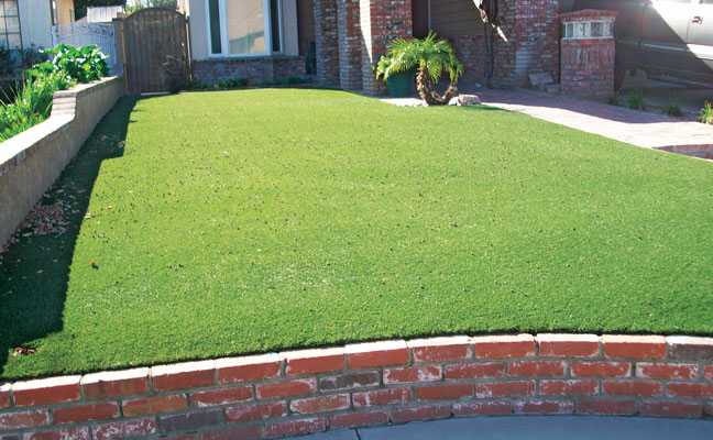 3. An artificial turf landscape requires no irrigation. PHOTO: DR. HANIF GULMAHAMAD