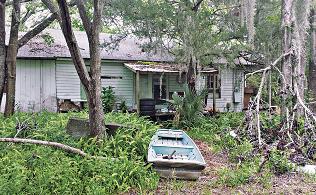 The field sites were selected based on the presence of suitable harborages for Asian tiger mosquitoes, such as moderate to dense foliage, adult mosquito resting areas, and artificial containers for the development of immature mosquitoes. PHOTO: ANASTASIA MOSQUITO CONTROL DISTRICT