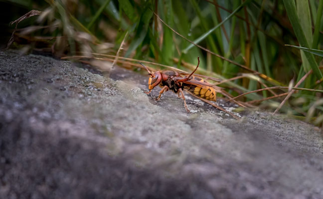 PHOTO: CERISE HUA/ISTOCK / GETTY IMAGES PLUS/GETTY IMAGES